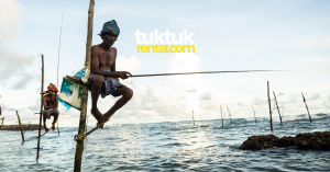 Travel Sri Lanka_ Top 5 things to see in Sri Lanka