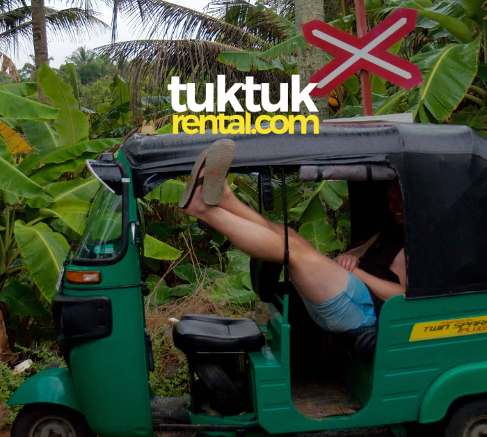 The 5 Rules for Driving in India & Sri Lanka