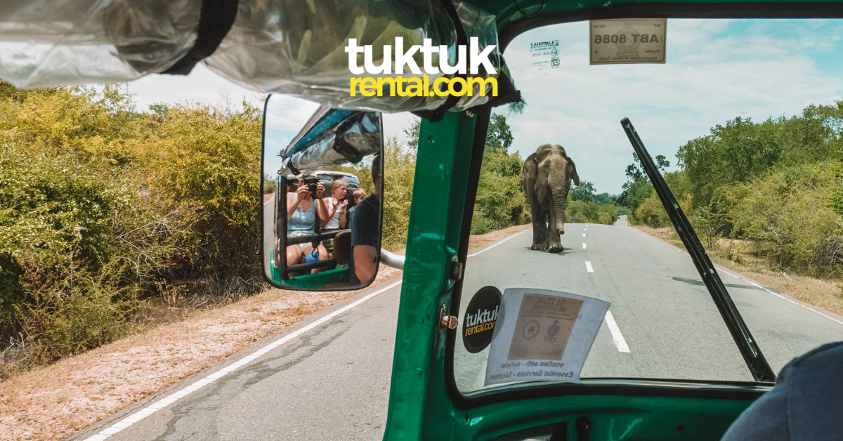 A tourist family drives a tuktuk through Yala National Park while an elephant walks towards them.