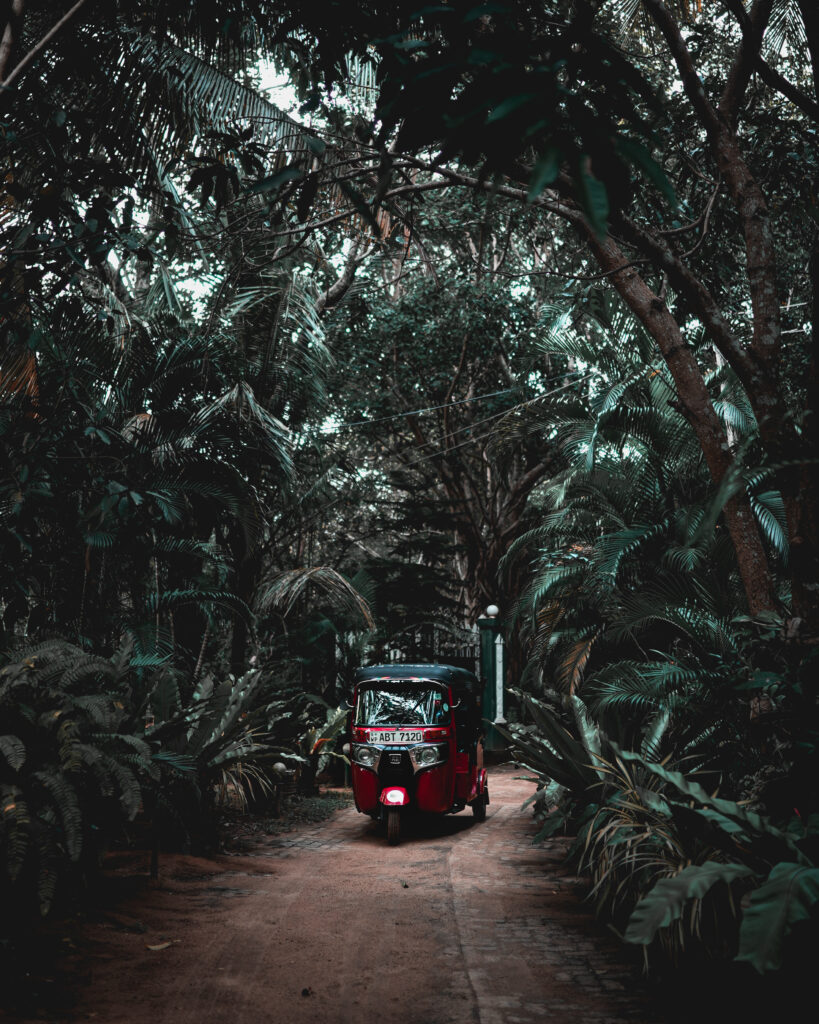 A tuktuk in the middle of greenery