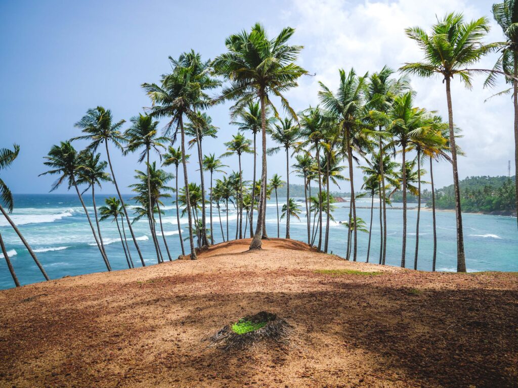 A photo-worthy paradise - Embrace the charm of Coconut Tree Hill in Mirissa