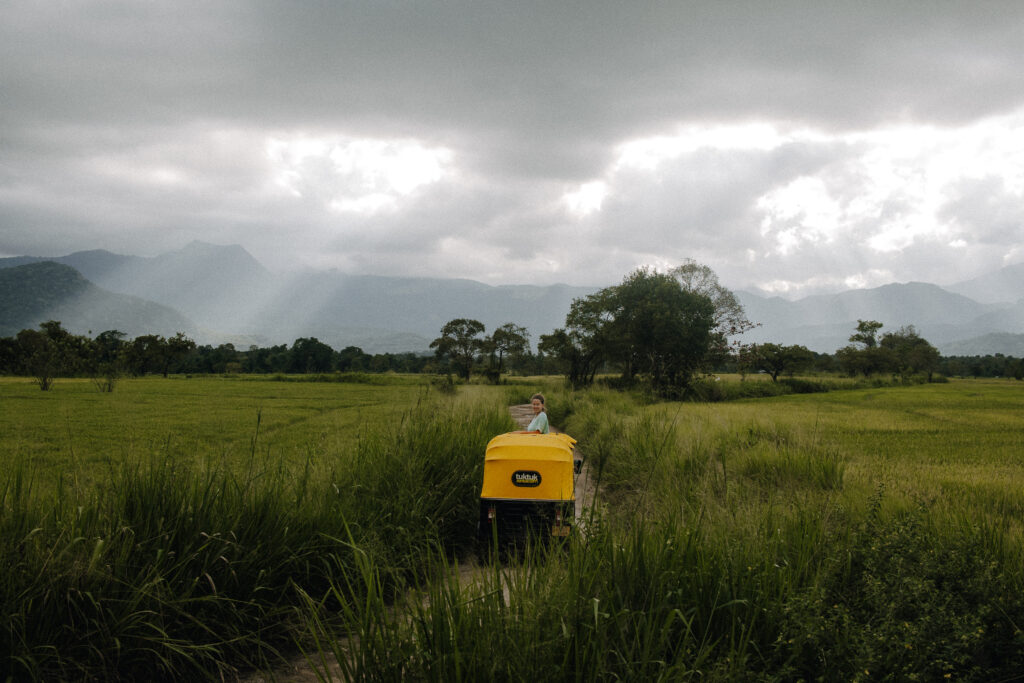 Paddy trails and tuktuk tales - Discover the authentic side of Wellawaya as the tuktuk explores off-the-beaten paths
