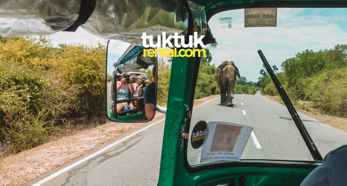 Wild Elephants in Sri Lanka – Exploring in Your Own TukTuk