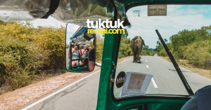 Wild Elephants in Sri Lanka – Exploring in Your Own TukTuk
