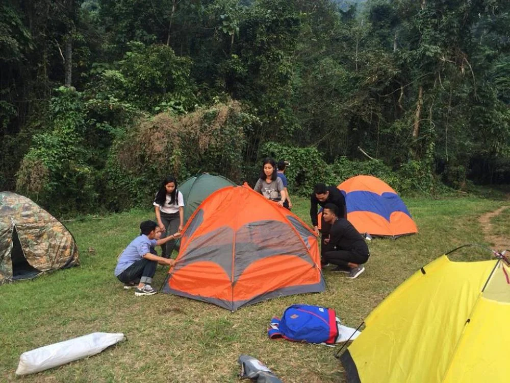 Group setting up colorful tents in forest.