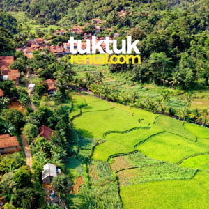 A logo featuring a landscape with rice terraces.