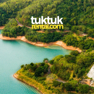 A drone shot of a forest view with a logo.