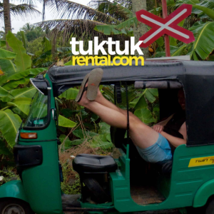The 5 Rules for Driving in India & Sri Lanka