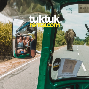 Wild Elephants in Sri Lanka – Exploring in Your Own TukTuk