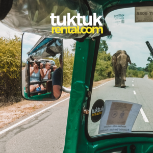 A tuk-tuk encountering a wild elephant on the road.